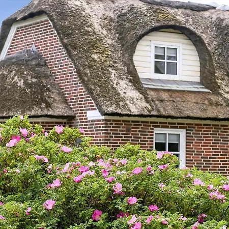 Hébergement de vacances Bv273-blavand-fyrvej-62